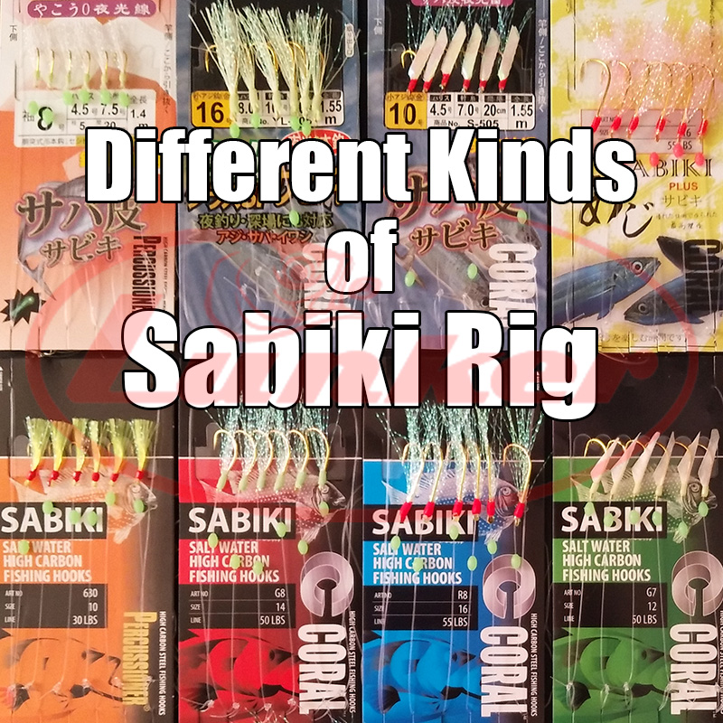 Lunker sabiki rig hooks lumino - đánh giá và giá Saltwater Fishing Hook